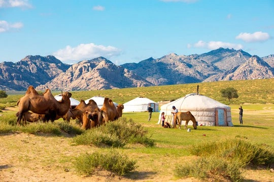 Mongolia July 2026 tour